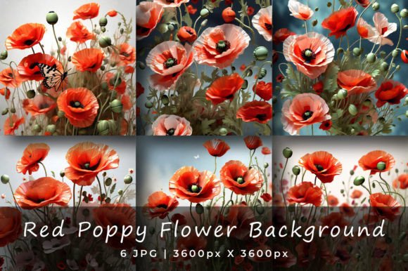 Download Red Poppy Flower Backgrounds - Flower backgrounds Collection